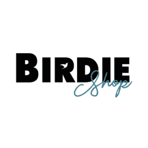 Logo BS communication